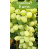 Саженцы винограда Августин (Ранний/Белый) -  5 шт.: фото и описание